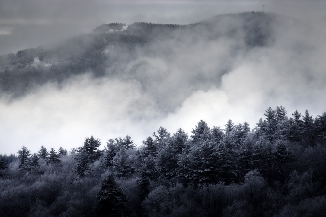 Getting a Passport in North Conway, NH: Step-by-Step Guide