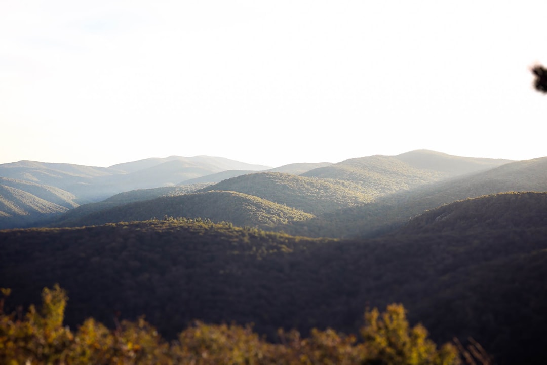 Getting a Passport in North Garden, VA: Step-by-Step Guide