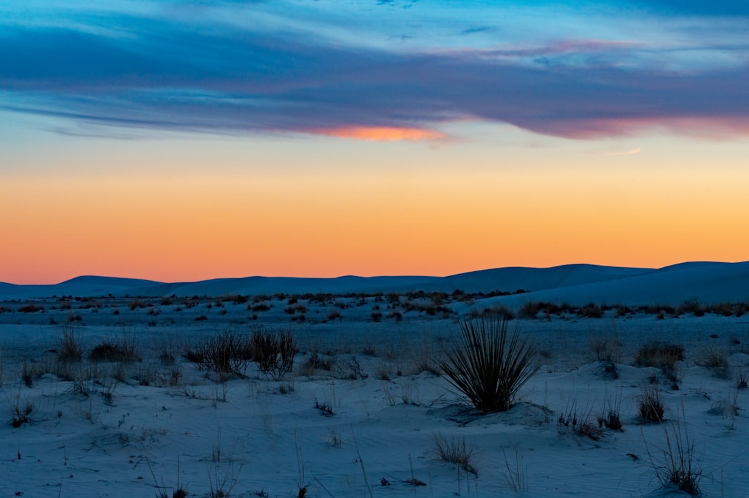 Getting a Passport in North San Ysidro, NM: Steps & Facilities