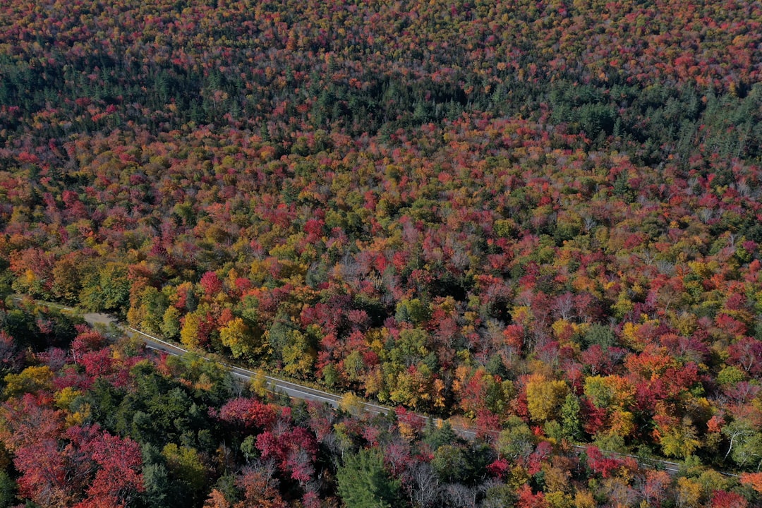 Getting a Passport in North Walpole, NH: Step-by-Step Guide