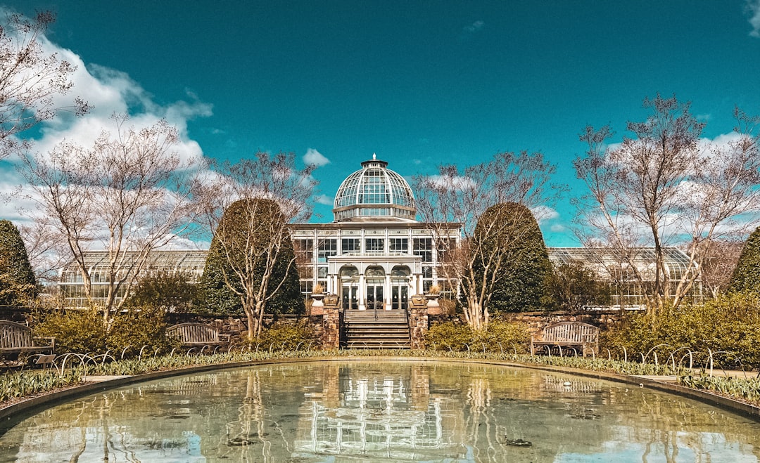 Getting a Passport in Nottoway Court House, VA: Local Guide
