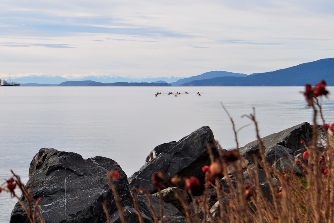 Getting a Passport in Ocosta, WA: Facilities & Steps