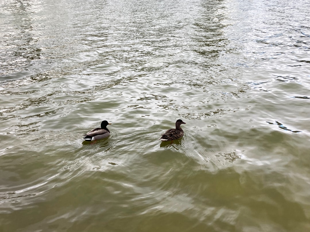 Getting a Passport in Olympia, WA: Forms, Facilities, Tips