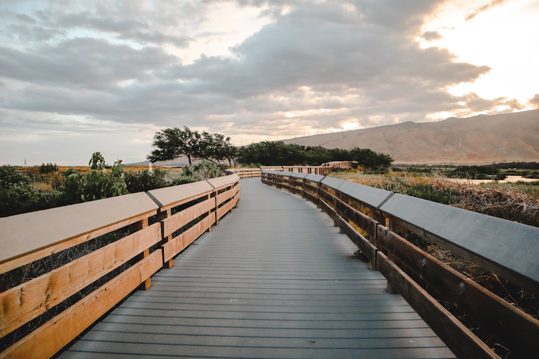 Getting a Passport in Omao, HI: Step-by-Step Resident Guide