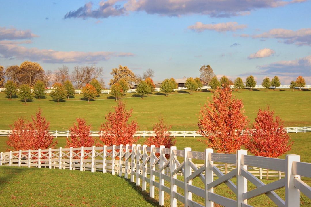 Getting a Passport in Onton, KY: Facilities, Forms & Tips