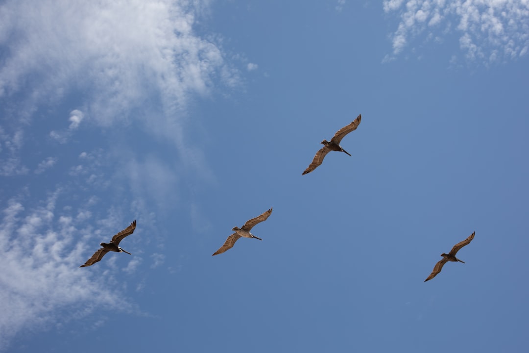 Getting a Passport in Ormond Beach FL: Step-by-Step Guide