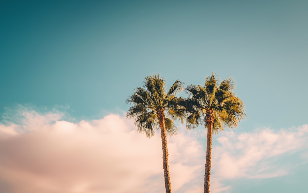 Getting a Passport in Palm Coast, FL: Step-by-Step Guide