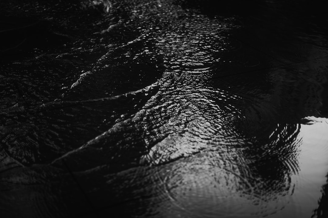 Getting a Passport in Percy, IL: Complete Step-by-Step Guide