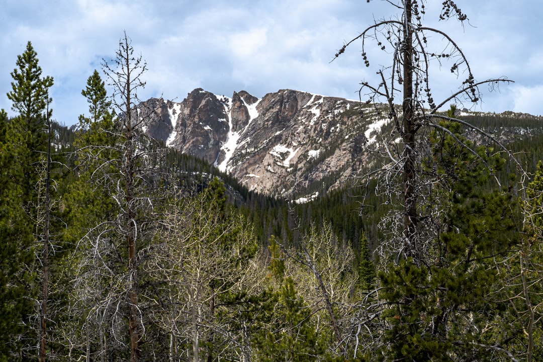Getting a Passport in Peyton, CO: First-Time & Renewals Guide