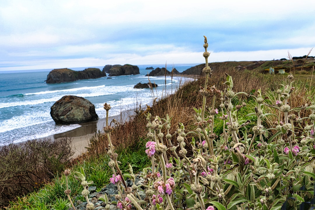 Getting a Passport in Pine Hollow, OR: Steps & Locations