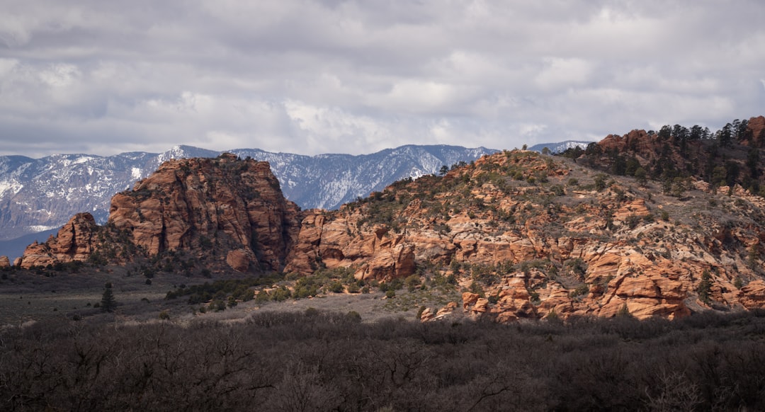 Getting a Passport in Pine Valley, UT: Steps & Facilities