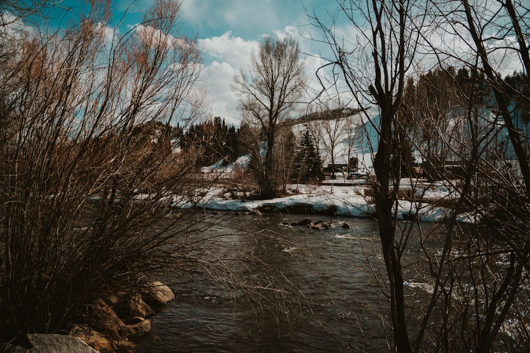 Getting a Passport in Placerville, CO: Step-by-Step Guide