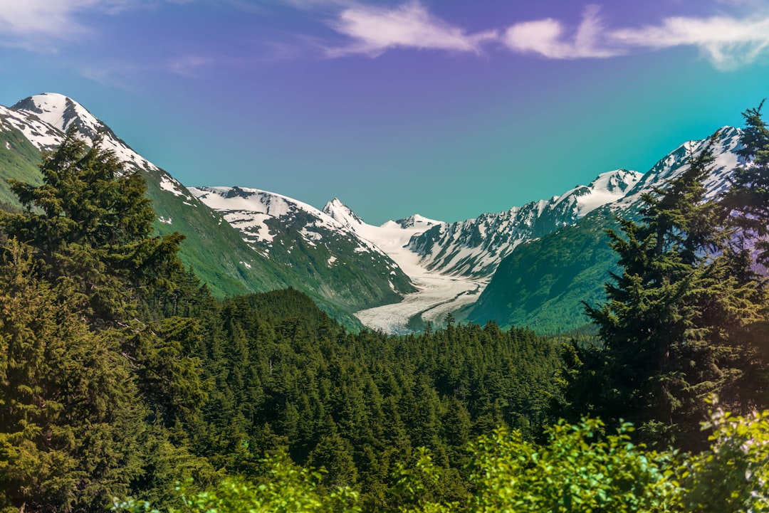 Getting a Passport in Pleasant Valley, AK: Step-by-Step Guide