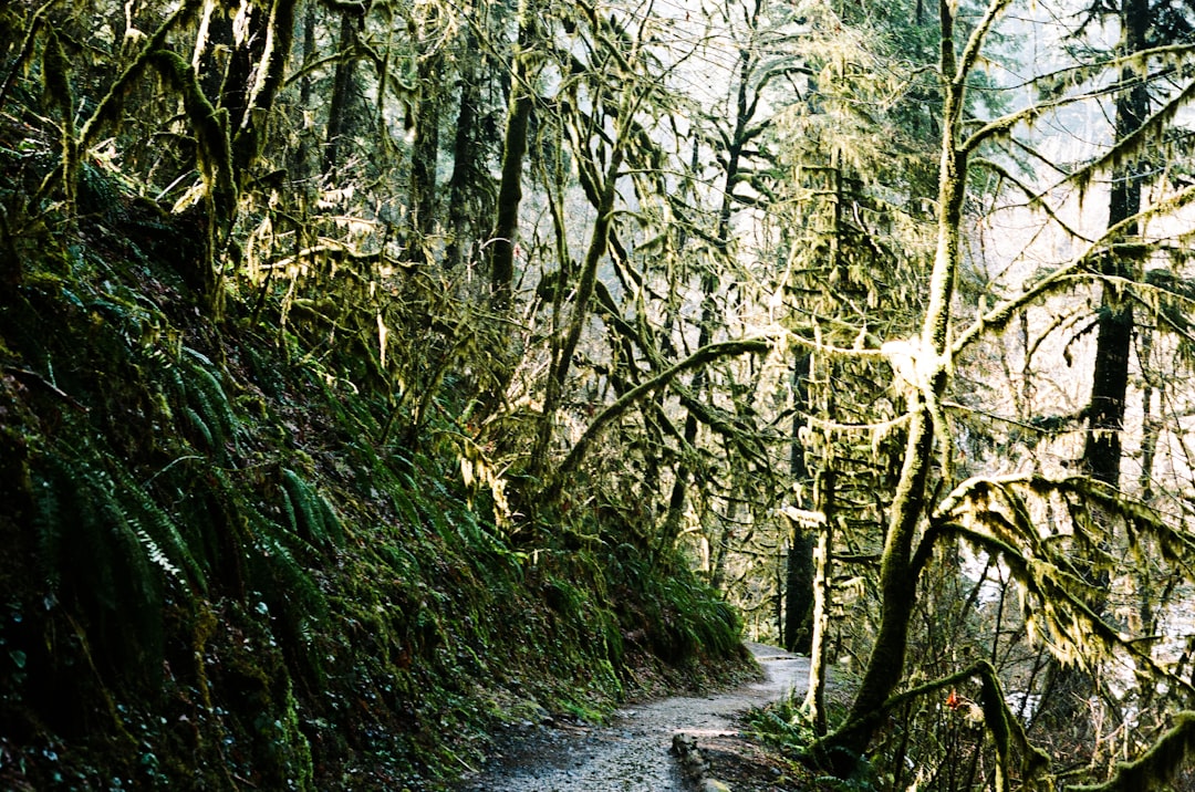 Getting a Passport in Pleasant Valley, OR: Local Guide