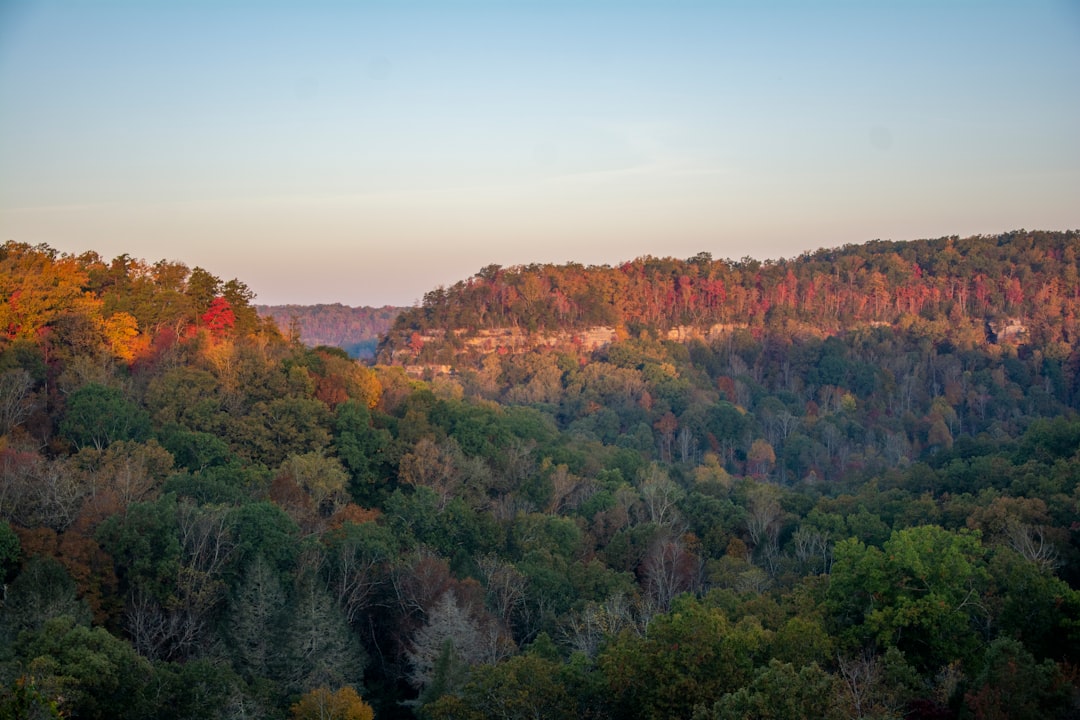 Getting a Passport in Pleasant View, KY: Facilities Guide