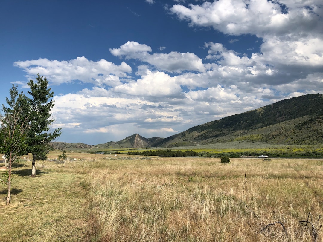 Getting a Passport in Plentywood, MT: Facilities, Steps & Tips