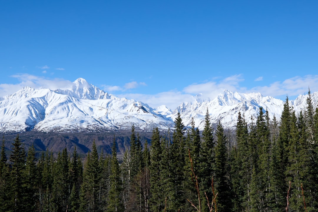 Getting a Passport in Point Lay, AK: Forms, Facilities Guide