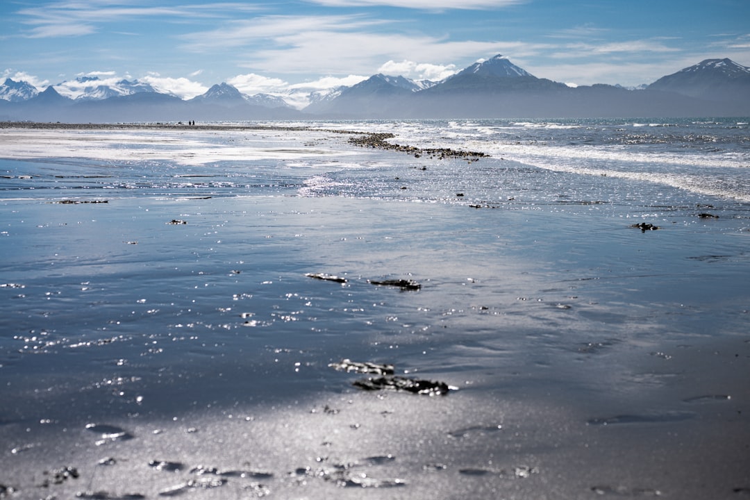 Getting a Passport in Point MacKenzie, AK: Facilities & Tips