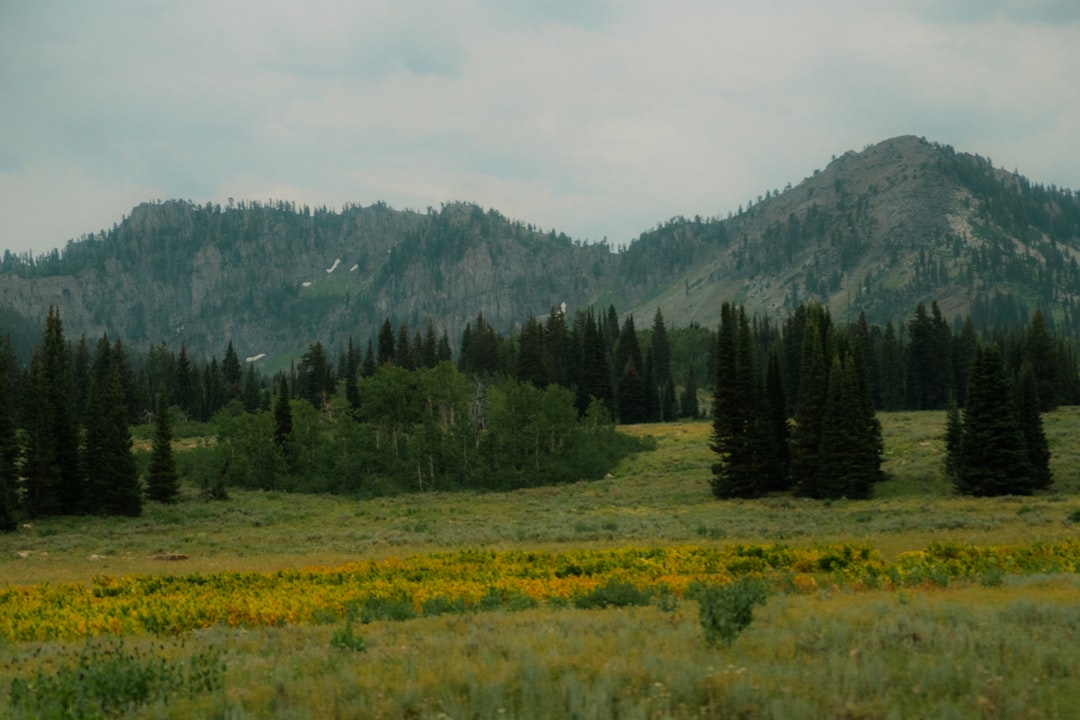 Getting a Passport in Ponderay ID: Steps, Facilities & Timelines