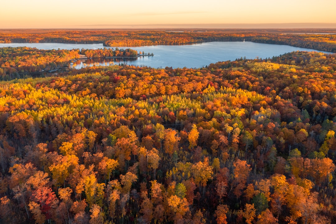 Getting a Passport in Potter, WI: Step-by-Step Guide