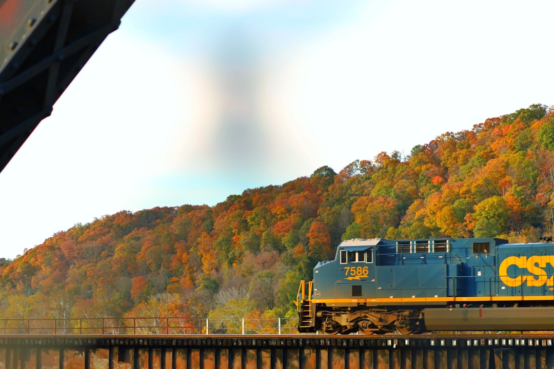Getting a Passport in Prichard, WV: Local Facilities & Steps