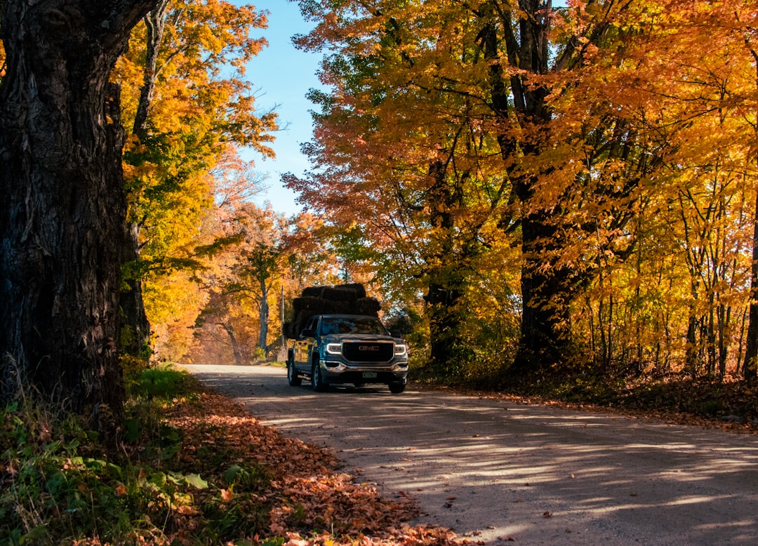 Getting a Passport in Proctorsville, VT: Step-by-Step Guide