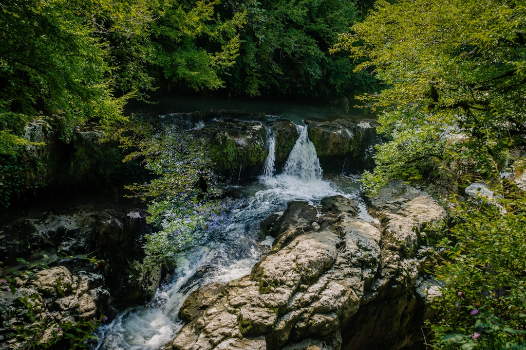 Getting a Passport in Ranger, GA: Step-by-Step Guide