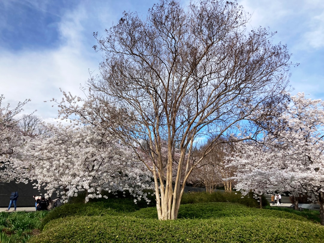 Getting a Passport in Richland, WA: Step-by-Step Guide