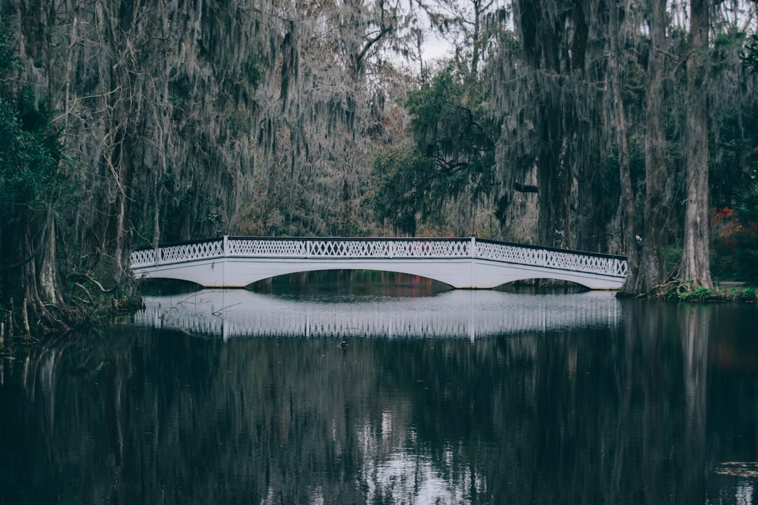 Getting a Passport in Ridgeway, SC: Steps & Local Facilities