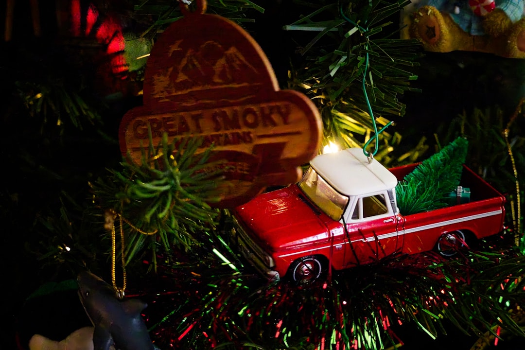 Getting a Passport in Roan Mountain, TN: Facilities & Tips