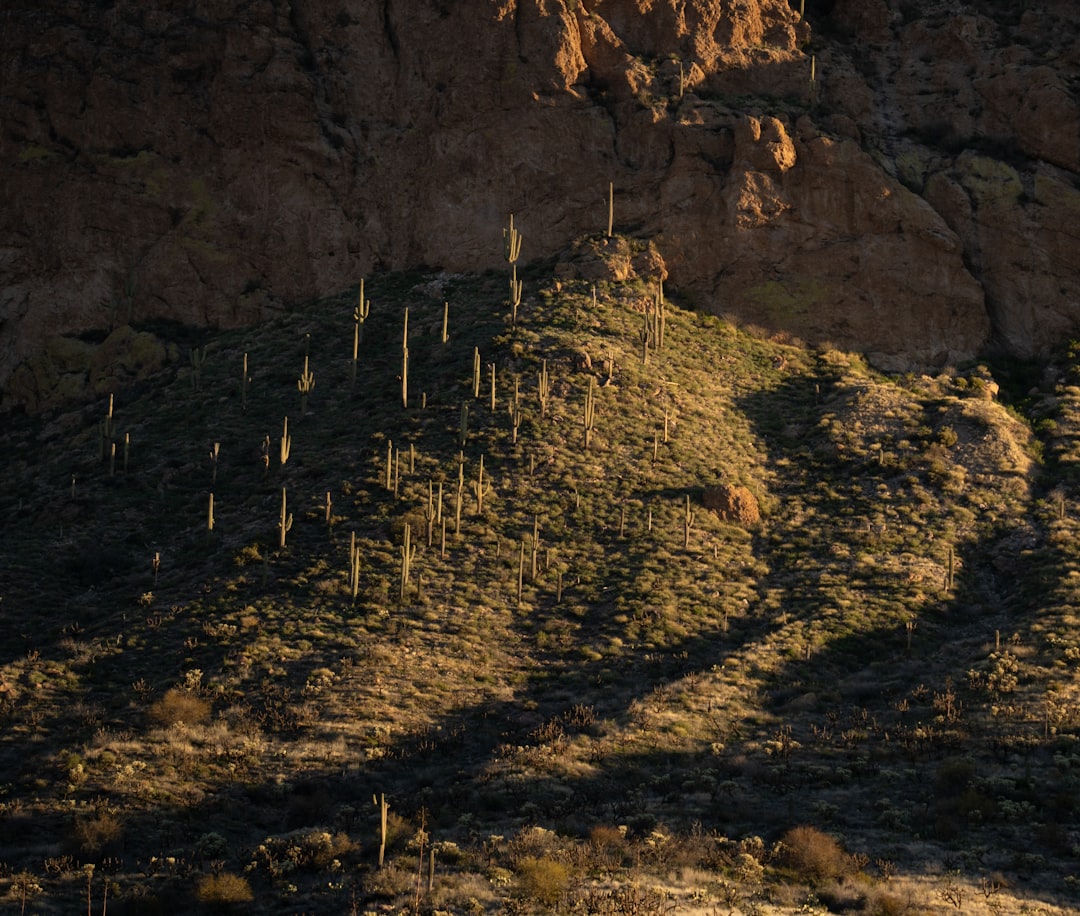Getting a Passport in Rock House, AZ: Facilities & Steps
