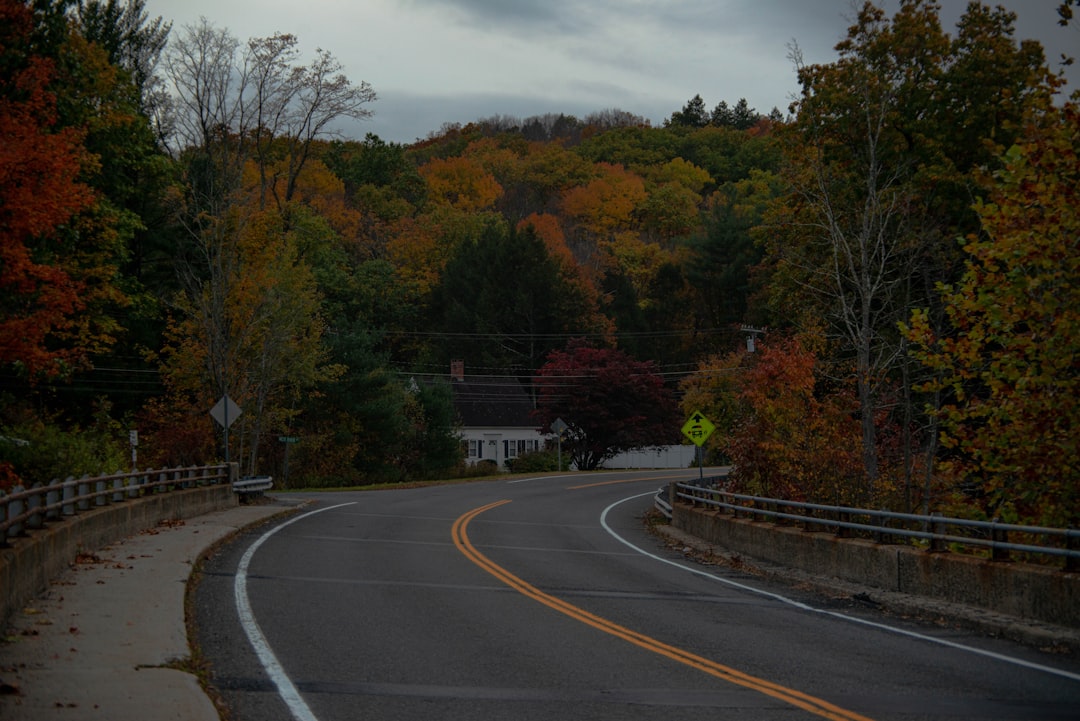 Getting a Passport in Rock Ridge, CT: Step-by-Step Guide