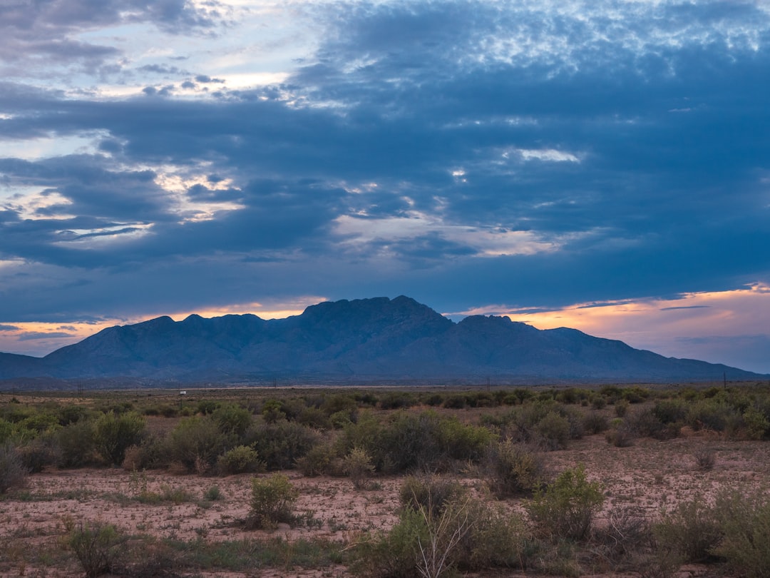 Getting a Passport in Roswell NM: Step-by-Step Guide