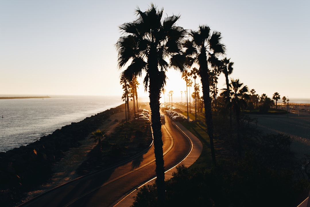 Getting a Passport in Round Mountain, CA: Step-by-Step Guide