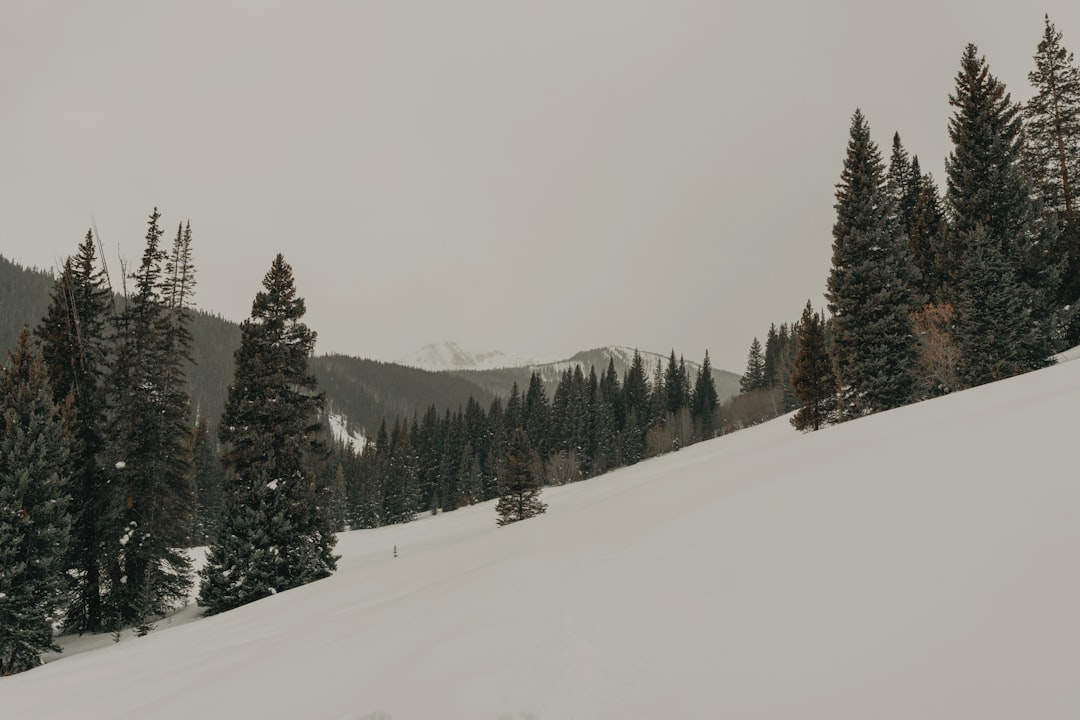 Getting a Passport in Rye, CO: Pueblo Step-by-Step Guide