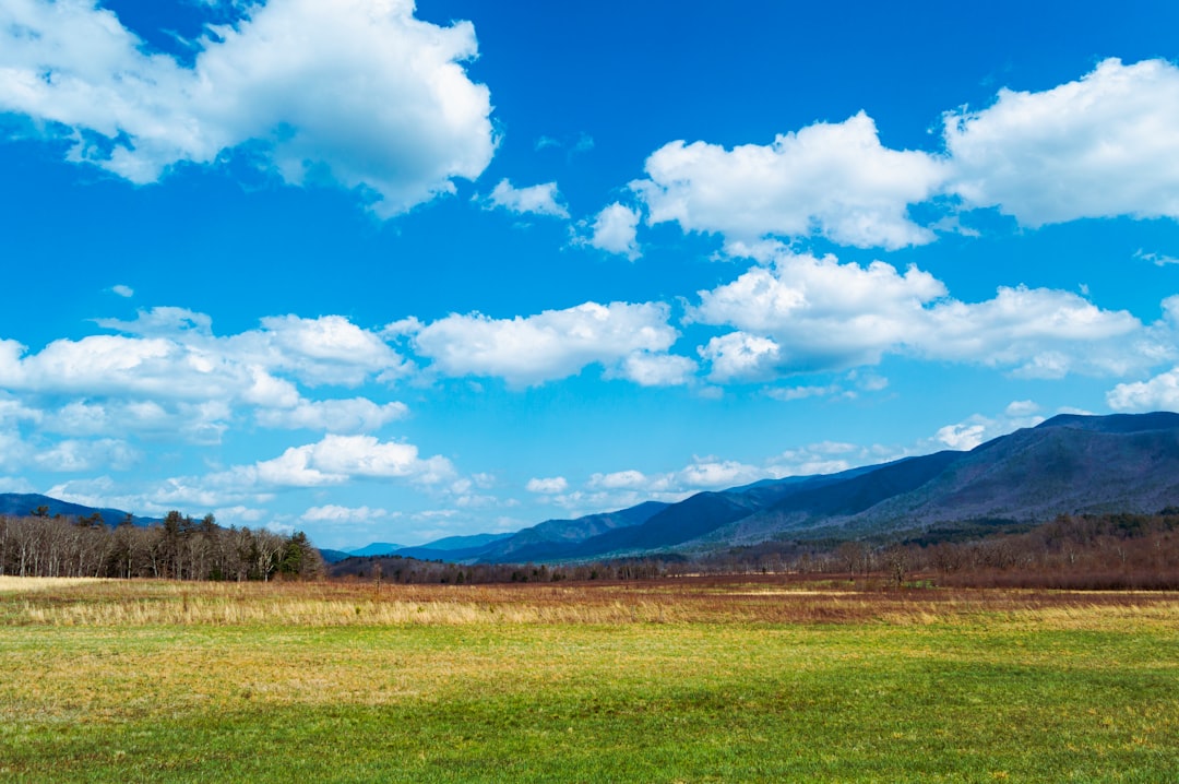 Getting a Passport in Sale Creek, TN: Step-by-Step Guide