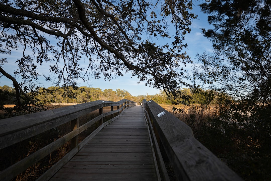 Getting a Passport in Salley, SC: Facilities, Steps & Tips