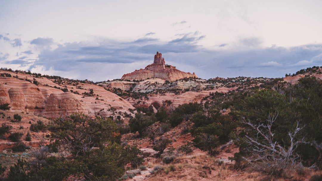Getting a Passport in San Fidel, NM: Grants Facilities Guide
