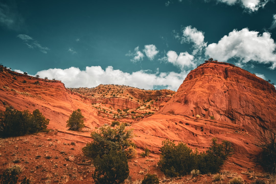 Getting a Passport in Sandia Park, NM: Step-by-Step Guide