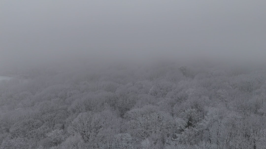 Getting a Passport in Sandy Hook, CT: Step-by-Step Guide