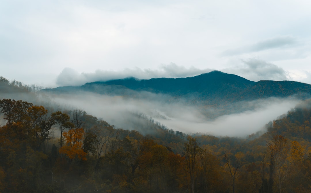 Getting a Passport in Sardis, TN: Facilities & Checklists