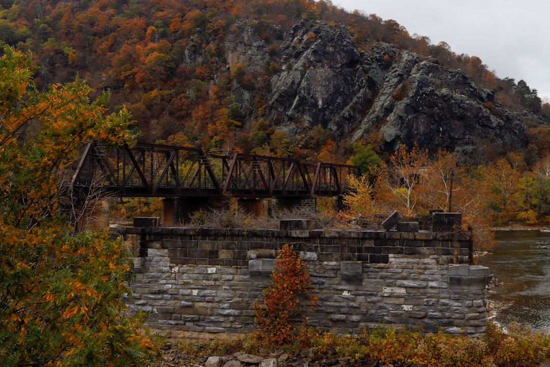 Getting a Passport in Saxis, VA: Facilities & Steps Guide