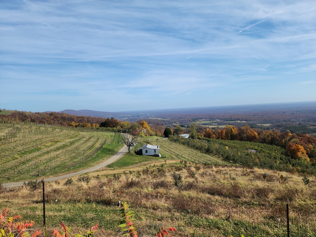 Getting a Passport in Schuyler, VA: Step-by-Step Guide