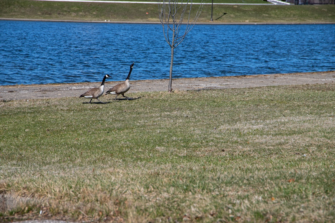 Getting a Passport in Scottville, MI: Local Steps & Facilities