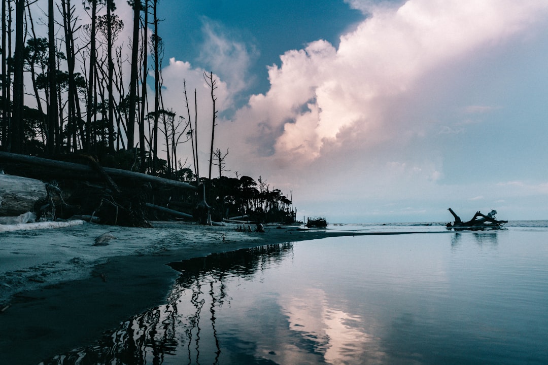 Getting a Passport in Seabrook, SC: Step-by-Step Guide