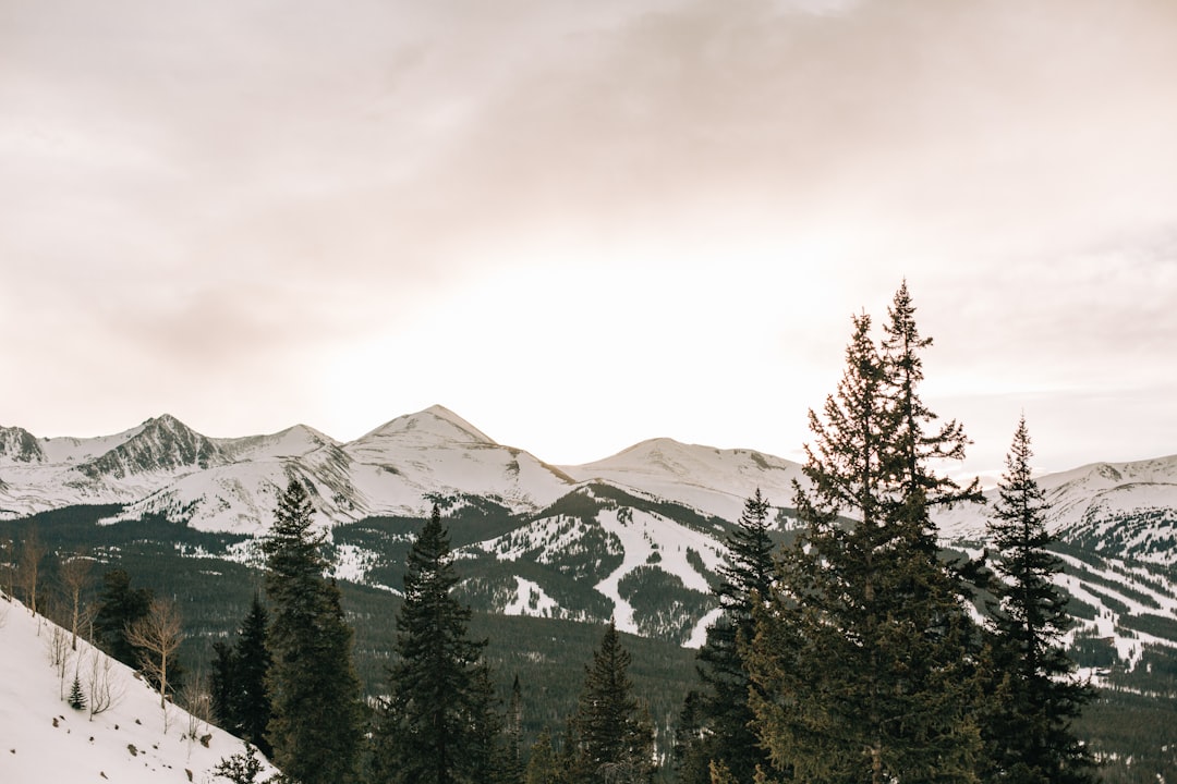Getting a Passport in Silver Plume, CO: Facilities & Steps