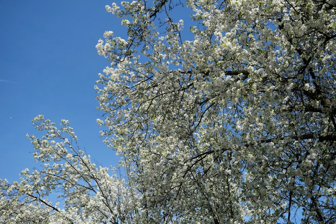 Getting a Passport in Somers Point, NJ: Step-by-Step Guide