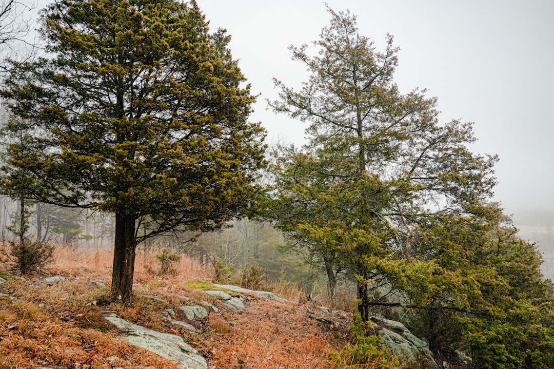 Getting a Passport in South Windham, CT: Step-by-Step Guide