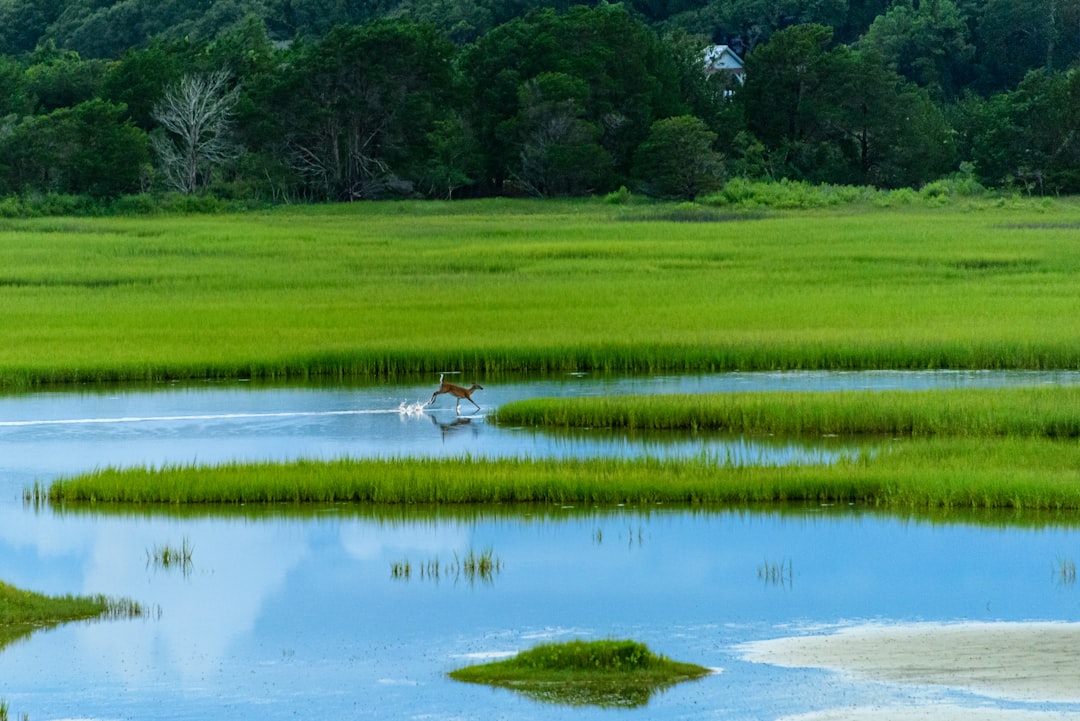 Getting a Passport in Spencer Mountain, NC: Local Guide