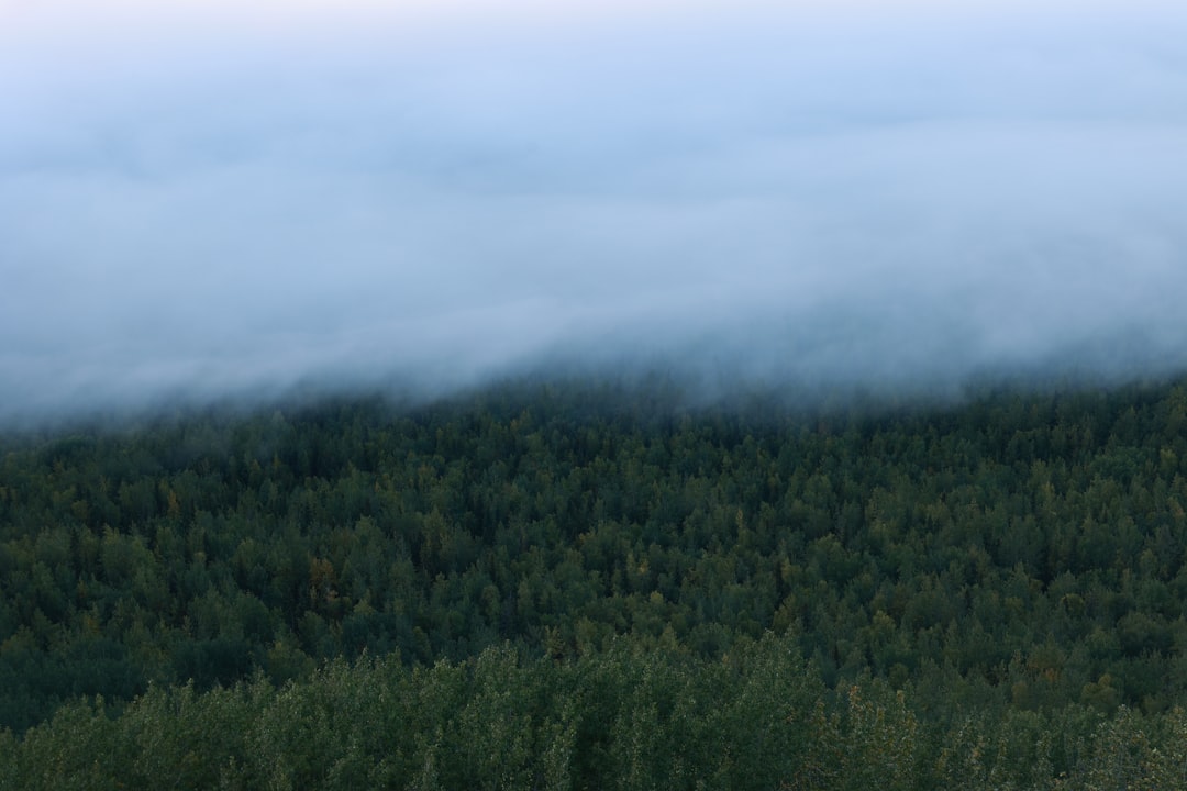 Getting a Passport in St. Michael, AK: Step-by-Step Guide